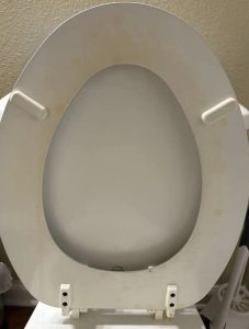 That Gross Yellow Ring? Here’s How I Actually Got Rid of Toilet Stains (For Good!)