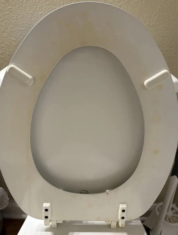 That Gross Yellow Ring? Here’s How I Actually Got Rid of Toilet Stains (For Good!)