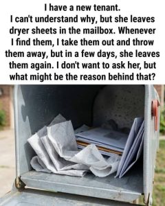 If a Dryer Sheet Shows Up in Your Mailbox, Here’s What It’s Trying to Tell You