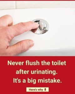 Why is it so important not to flush the toilet after every trip to the toilet to urinate?
