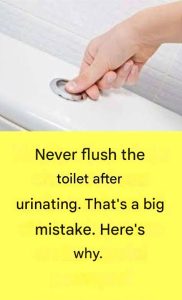 Why Is It Extremely Important Not to Flush the Toilet After Every Urination?
