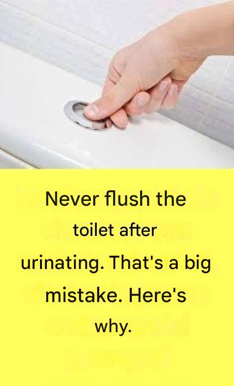 Why Is It Extremely Important Not to Flush the Toilet After Every Urination?